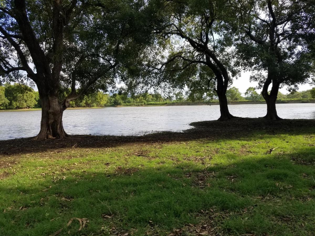 Sigiri Holiday Villa Sigiriya Dış mekan fotoğraf
