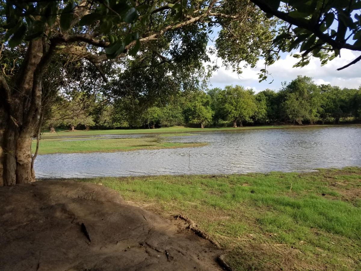 Sigiri Holiday Villa Sigiriya Dış mekan fotoğraf
