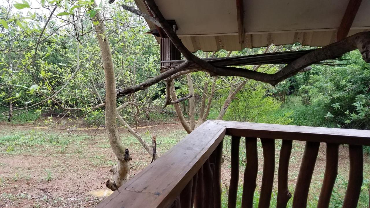 Sigiri Holiday Villa Sigiriya Dış mekan fotoğraf