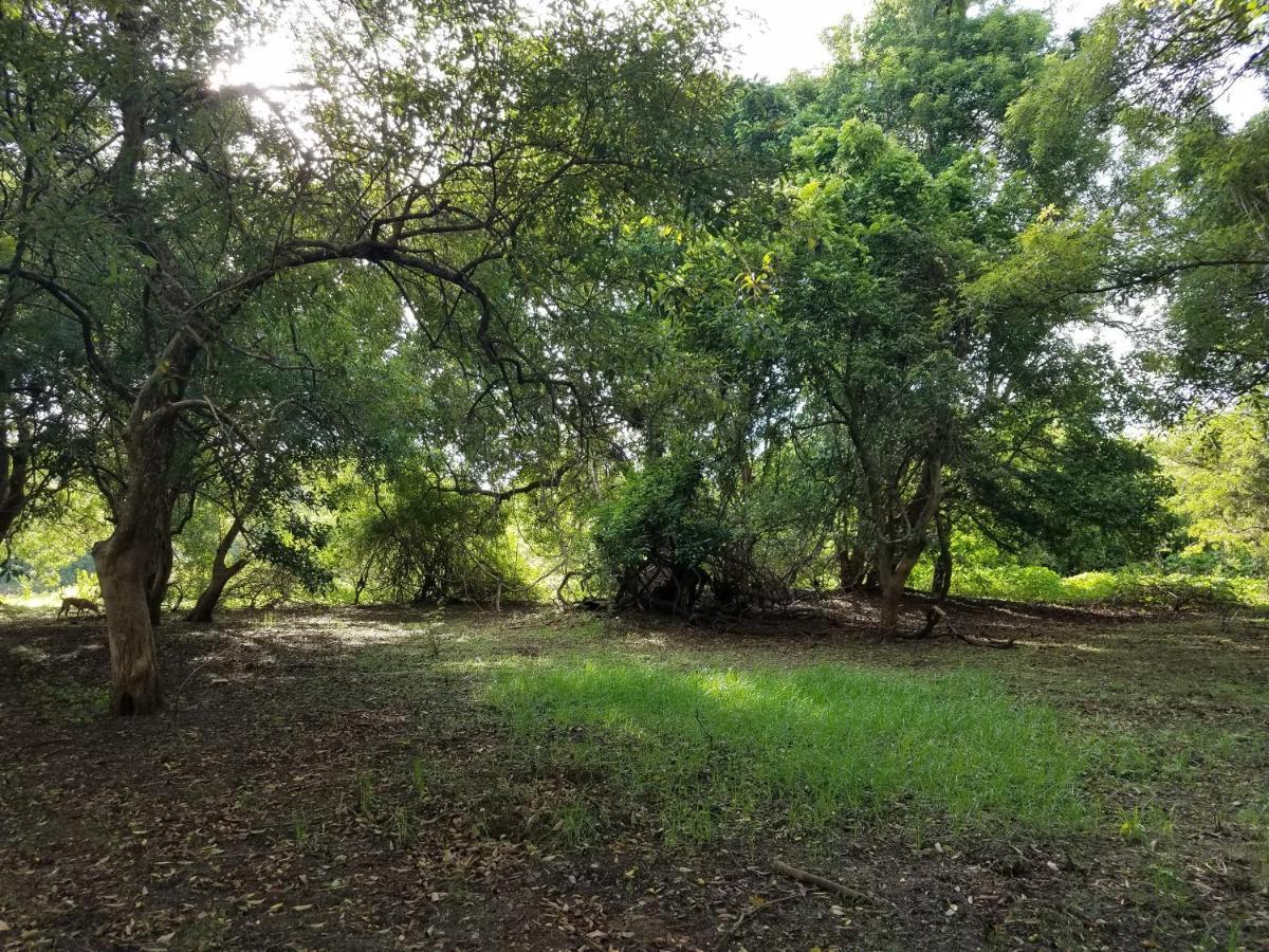 Sigiri Holiday Villa Sigiriya Dış mekan fotoğraf