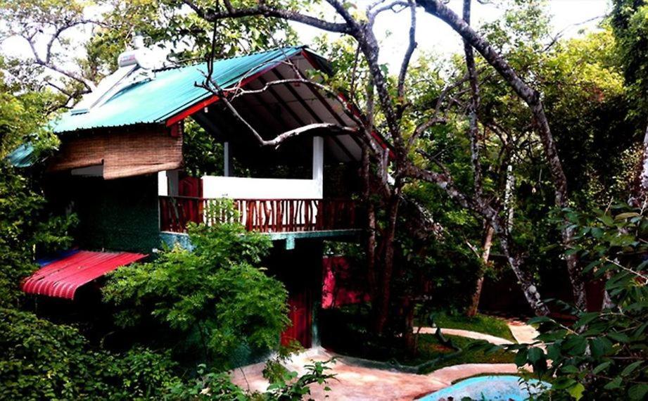 Sigiri Holiday Villa Sigiriya Dış mekan fotoğraf