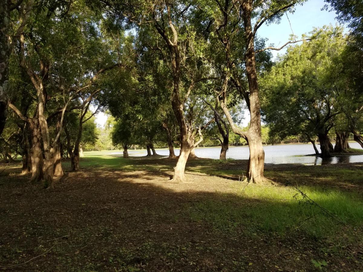 Sigiri Holiday Villa Sigiriya Dış mekan fotoğraf
