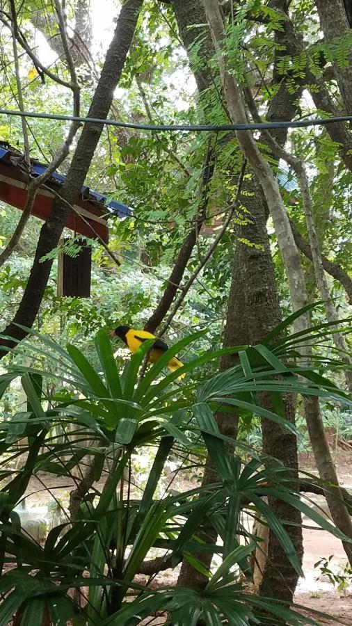 Sigiri Holiday Villa Sigiriya Dış mekan fotoğraf